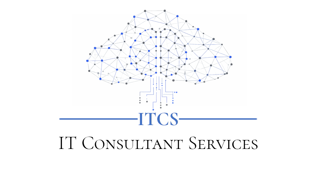 IT Consultant Services logo